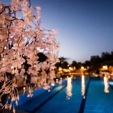 Hotel Pomara 3*
